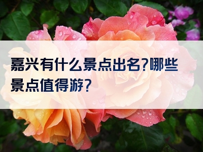 嘉兴有什么景点出名？哪些景点值得游？