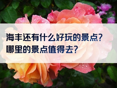 海丰还有什么好玩的景点？哪里的景点值得去？
