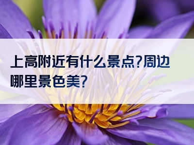 上高附近有什么景点？周边哪里景色美？