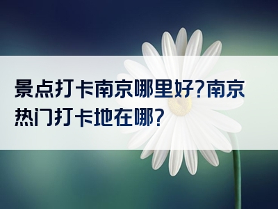 景点打卡南京哪里好？南京热门打卡地在哪？