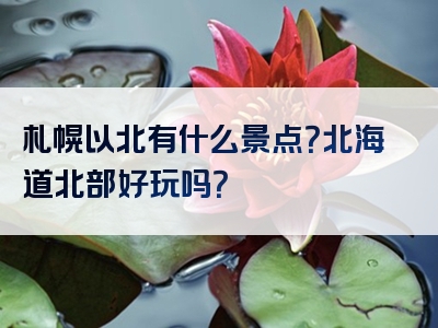 札幌以北有什么景点？北海道北部好玩吗？