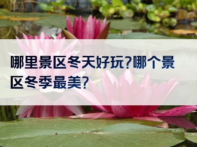 哪里景区冬天好玩？哪个景区冬季最美？