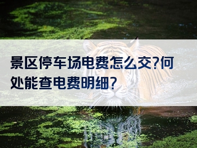 景区停车场电费怎么交？何处能查电费明细？