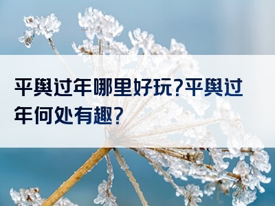 平舆过年哪里好玩？平舆过年何处有趣？