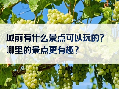 城前有什么景点可以玩的？哪里的景点更有趣？