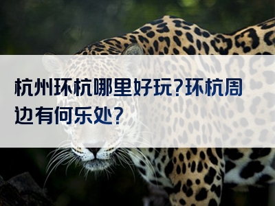 杭州环杭哪里好玩？环杭周边有何乐处？