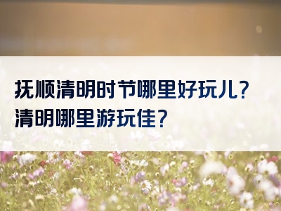 抚顺清明时节哪里好玩儿？清明哪里游玩佳？