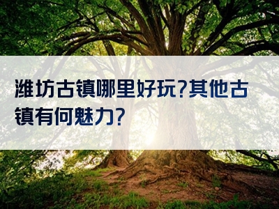 潍坊古镇哪里好玩？其他古镇有何魅力？