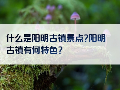 什么是阳明古镇景点？阳明古镇有何特色？
