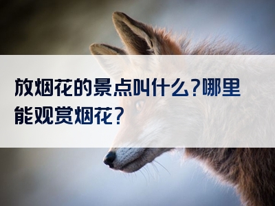 放烟花的景点叫什么？哪里能观赏烟花？