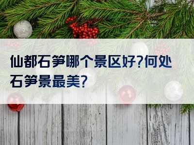 仙都石笋哪个景区好？何处石笋景最美？