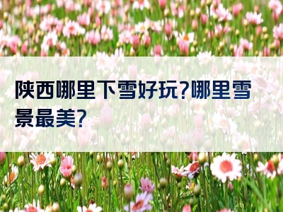陕西哪里下雪好玩？哪里雪景最美？