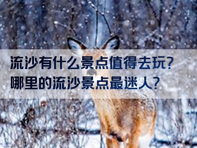 流沙有什么景点值得去玩？哪里的流沙景点最迷人？