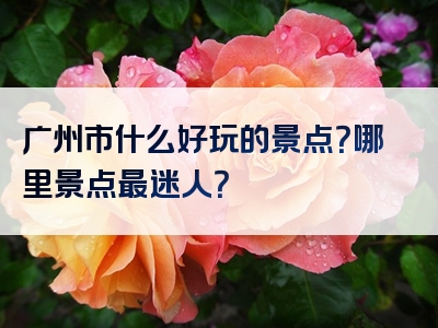广州市什么好玩的景点？哪里景点最迷人？