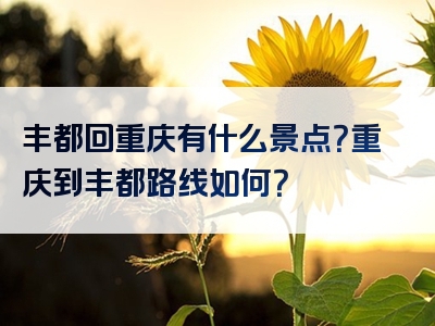 丰都回重庆有什么景点？重庆到丰都路线如何？