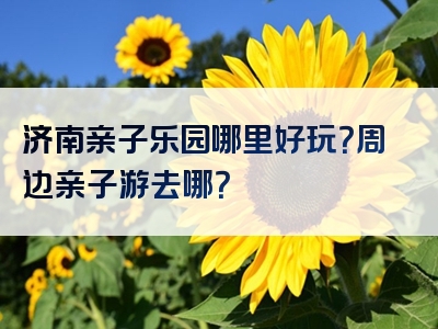 济南亲子乐园哪里好玩？周边亲子游去哪？