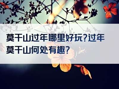 莫干山过年哪里好玩？过年莫干山何处有趣？