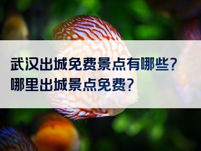 武汉出城免费景点有哪些？哪里出城景点免费？