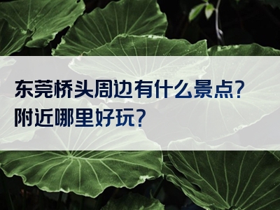 东莞桥头周边有什么景点？附近哪里好玩？