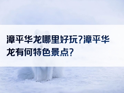 漳平华龙哪里好玩？漳平华龙有何特色景点？