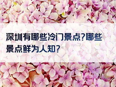 深圳有哪些冷门景点？哪些景点鲜为人知？