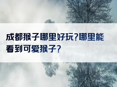 成都猴子哪里好玩？哪里能看到可爱猴子？