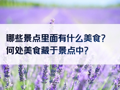 哪些景点里面有什么美食？何处美食藏于景点中？
