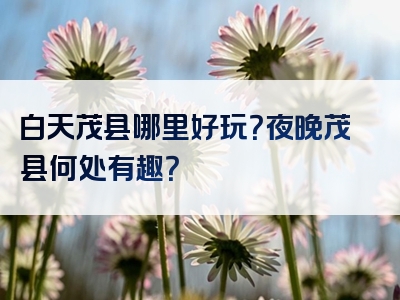 白天茂县哪里好玩？夜晚茂县何处有趣？