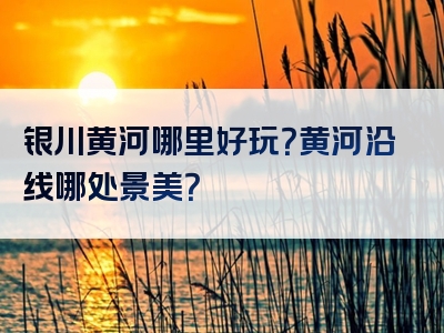 银川黄河哪里好玩？黄河沿线哪处景美？