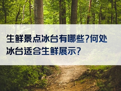 生鲜景点冰台有哪些？何处冰台适合生鲜展示？