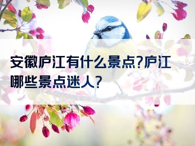 安徽庐江有什么景点？庐江哪些景点迷人？