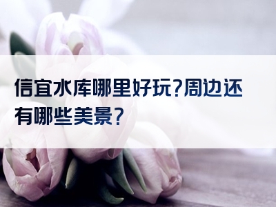 信宜水库哪里好玩？周边还有哪些美景？