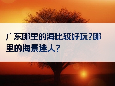 广东哪里的海比较好玩？哪里的海景迷人？