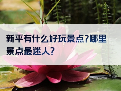 新平有什么好玩景点？哪里景点最迷人？