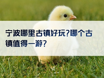 宁波哪里古镇好玩？哪个古镇值得一游？