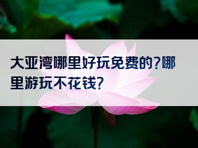 大亚湾哪里好玩免费的？哪里游玩不花钱？