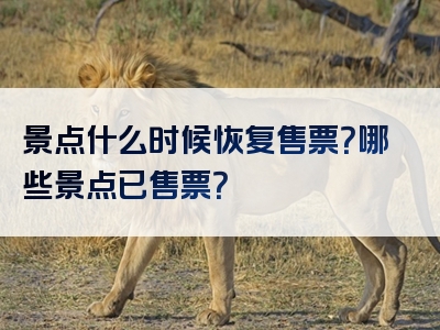 景点什么时候恢复售票？哪些景点已售票？