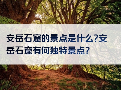 安岳石窟的景点是什么？安岳石窟有何独特景点？