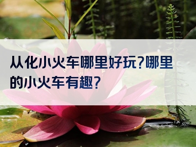 从化小火车哪里好玩？哪里的小火车有趣？