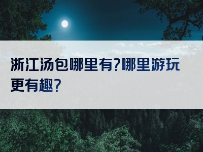 浙江汤包哪里有？哪里游玩更有趣？