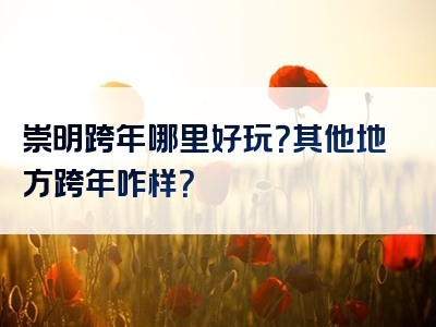 崇明跨年哪里好玩？其他地方跨年咋样？