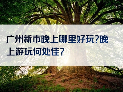 广州新市晚上哪里好玩？晚上游玩何处佳？