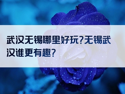 武汉无锡哪里好玩？无锡武汉谁更有趣？