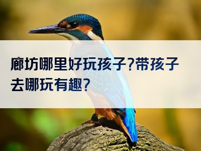 廊坊哪里好玩孩子？带孩子去哪玩有趣？