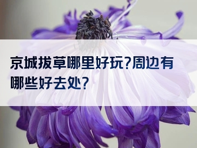 京城拔草哪里好玩？周边有哪些好去处？