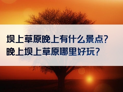 坝上草原晚上有什么景点？晚上坝上草原哪里好玩？