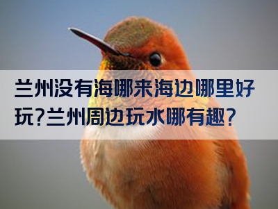 兰州没有海哪来海边哪里好玩？兰州周边玩水哪有趣？
