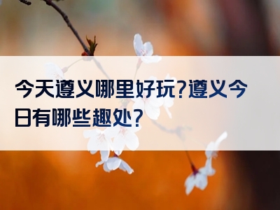 今天遵义哪里好玩？遵义今日有哪些趣处？