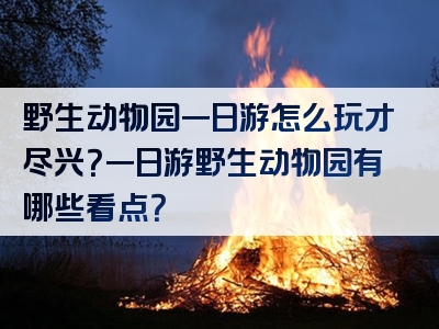 野生动物园一日游怎么玩才尽兴？一日游野生动物园有哪些看点？