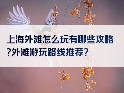 上海外滩怎么玩有哪些攻略？外滩游玩路线推荐？